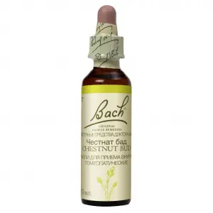 Купить Капли баха №7 Честнат бад (Почки конского каштана) — неумение учиться на прошлых ошибках, 10мл