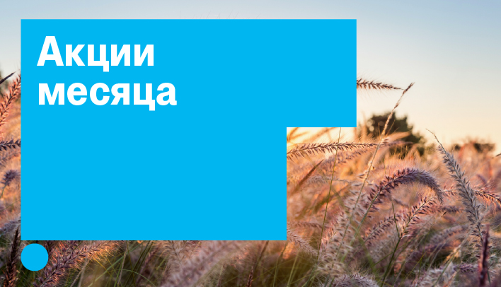 Акции месяца июль 2026