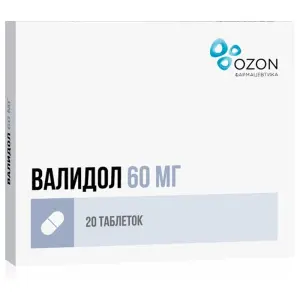 Купить Валидол 60 мг 20 шт таблетки подъязычные