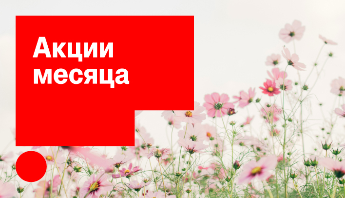 Акции месяца апрель 2026