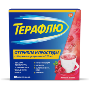 Купить: Терафлю 2 г 10 шт порошок для приготовления раствора для приема внутрь лесные ягоды