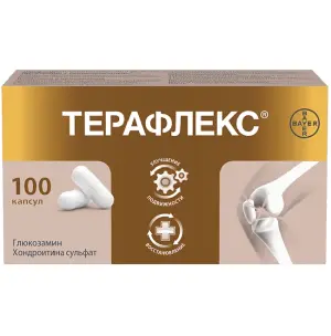 Купить Терафлекс 100 шт капсулы