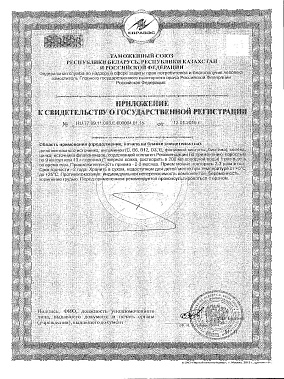 Приложение к свидетельству о гос_регистрации.jpg