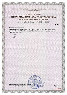 Приложение к декларации.jpg