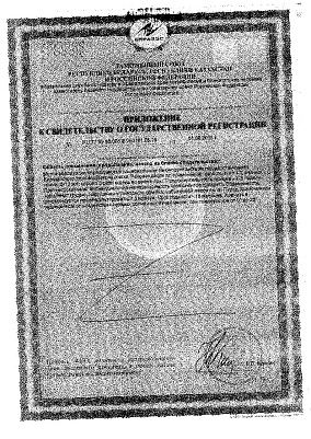 Приложение к свидетельству о гос_регистрации.jpg
