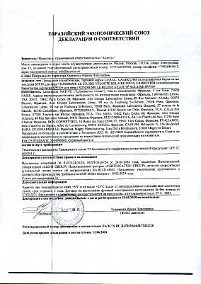 Декларация.jpg