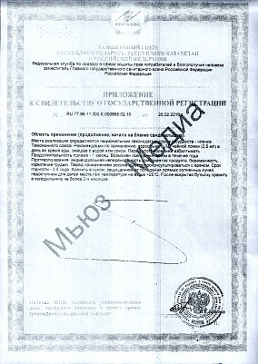 Приложение к свидетельству о гос_регистрации.jpg