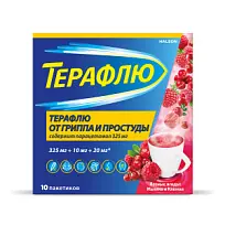 Купить: Терафлю 2 г 10 шт порошок для приготовления раствора для приема внутрь лесные ягоды