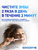 Купить Sensodyne 75 мл паста зубная здоровье десен