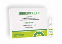 Купить: Линкомицин 30 % 1 мл 10 шт раствор для внутривенного и внутримышечного введения ампулы