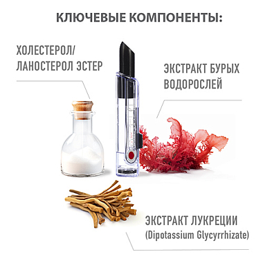 Купить Belweder бальзам д/губ 4г черный с экстрактом бурых водорослей