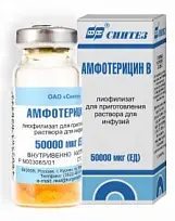 Купить: Амфотерицин В 50 тыс ЕД 1 шт лиофилизат для приготовления раствора для инфузий