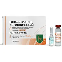 Купить: Гонадотропин Хорионический 5000 ЕД 5 шт лиофилизат для раствора для внутримышечного введения флакон + 1 мл растворитель