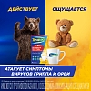 Купить ТераФлю Экстра 2 г 4 шт порошок для приготовления раствора для приема внутрь лимон