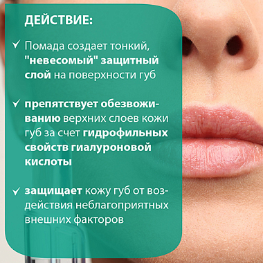 Купить Belweder 4 г помада для губ с гиалуроновой кислотой
