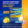 Купить Терафлю 2 г 10 шт порошок для приготовления раствора для приема внутрь лимон