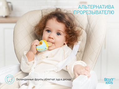 Купить Roxy Kids Dino ниблер для прикорма с силиконовой сеточкой