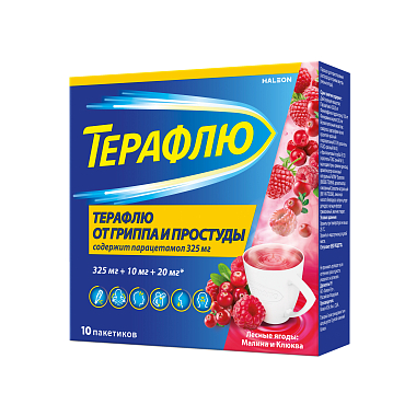 Купить Терафлю 2 г 10 шт порошок для приготовления раствора для приема внутрь лесные ягоды