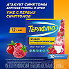 Купить Терафлю 2 г 10 шт порошок для приготовления раствора для приема внутрь лесные ягоды