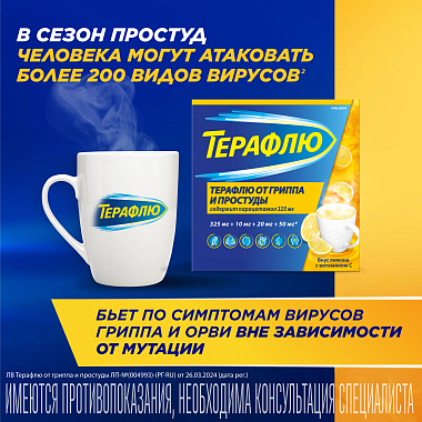 Купить Терафлю 2 г 10 шт порошок для приготовления раствора для приема внутрь лимон