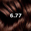 Купить Phyto color №6.77 (светлый каштан-капучино) краска для волос