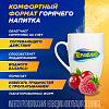Купить Терафлю 2 г 10 шт порошок для приготовления раствора для приема внутрь лесные ягоды