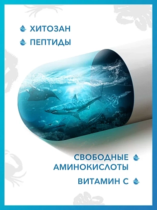 Купить Доктор Море Хитозан Приморский 60 шт капсулы