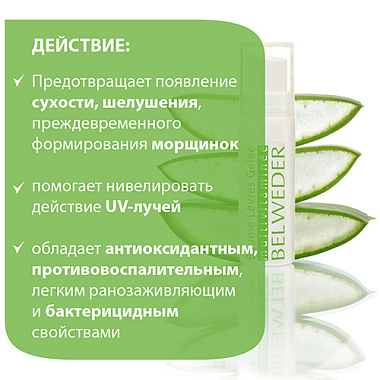 Купить Belweder бальзам-желе д/губ 5мл мультивитамины