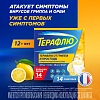 Купить Терафлю 2 г 14 шт порошок для приготовления раствора для приема внутрь лимон