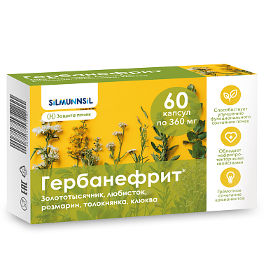 Купить Гербанефрит 60 шт капсулы