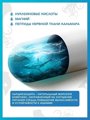 Купить Доктор Море Кардиозащита 500 мг 30 шт капсулы