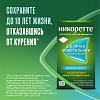 Купить Никоретте 2 мг 30 шт резинка жевательная лекарственная морозная мята