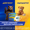 Купить Терафлю 2 г 10 шт порошок для приготовления раствора для приема внутрь лимон