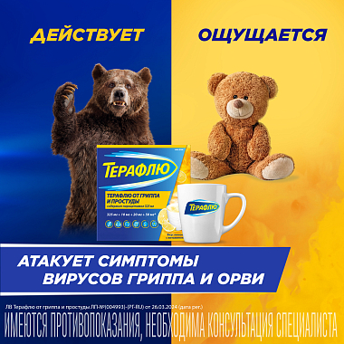 Купить Терафлю 2 г 10 шт порошок для приготовления раствора для приема внутрь лимон