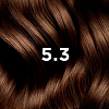 Купить Phyto color №5.3 (светлый золотистый шатен) краска для волос