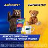 Купить ТераФлю Экстра 2 г 4 шт порошок для приготовления раствора для приема внутрь лимон