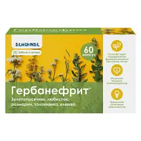 Купить: Гербанефрит 60 шт капсулы