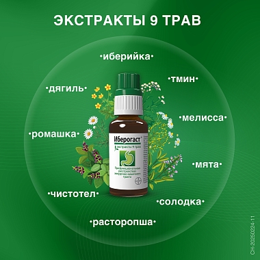 Купить Иберогаст 50 мл капли для приема внутрь