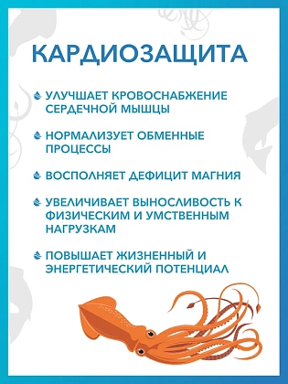 Купить Доктор Море Кардиозащита 500 мг 30 шт капсулы