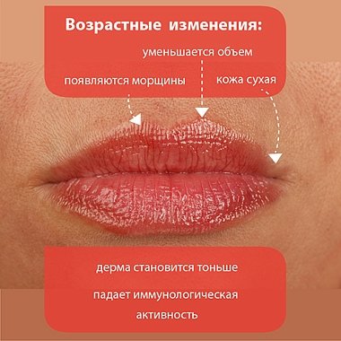 Купить Belweder 4 г помада для губ лифтинг с пептидами