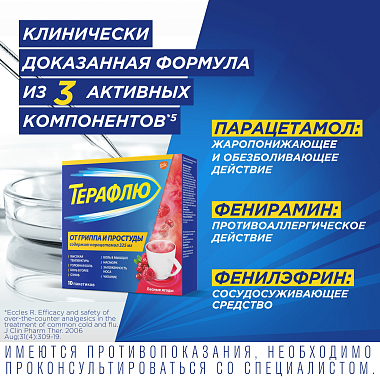 Купить Терафлю 2 г 10 шт порошок для приготовления раствора для приема внутрь лесные ягоды