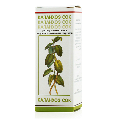 Купить Каланхоэ сок 20 мл флакон