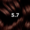 Купить Phyto color №5.7 (светлый каштан) краска для волос