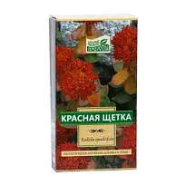 Купить: Красная щетка 30 г корень пачка
