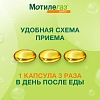 Купить Мотилегаз Форте 120 мг 40 шт капсулы