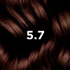 Купить Phyto color №5.7 (светлый каштан) краска для волос
