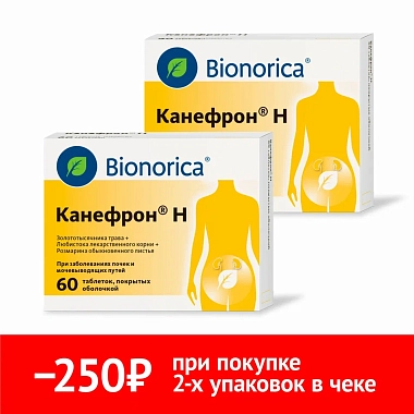 Купить Набор 2 уп. Канефрон Н 60 шт таб