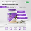 Купить Витаботаника Чаги экстракт 90 шт капсулы