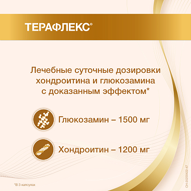 Купить Терафлекс 200 шт капсулы