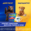 Купить ТераФлю Экстра 2 г 10 шт порошок для приготовления раствора для приема внутрь лимон